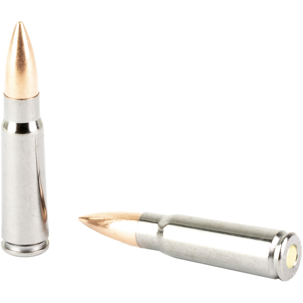 Two silver bullets on white background.