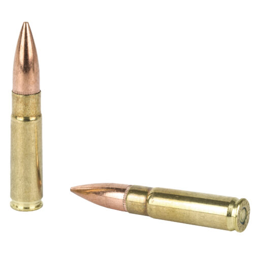 Two rifle bullets on a white background