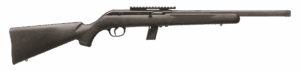 SAVAGE ARMS 64 FV-SR SEMI-AUTO 22LR BL/SY