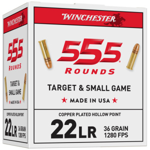 WINCHESTER 22LR 36GR PLATED HP - 1280FPS 555RD 10BX/CS