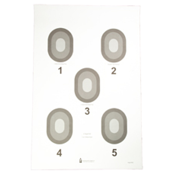 ACTION TGT 5 BULLSEYE CRM 100PK