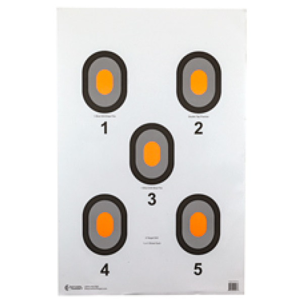 ACTION TGT ORG CENTER 5 BLSEYE 100PK