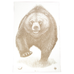 ACTION TGT AK STATE PARK BEAR 100PK