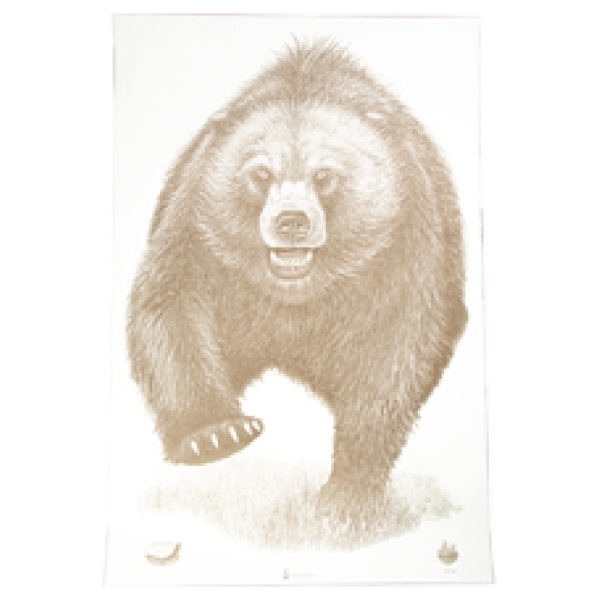 ACTION TGT AK STATE PARK BEAR 100PK