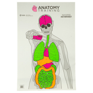 ACTION TGT ANATOMY TRNG 100PK