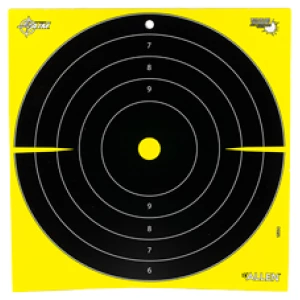 ALLEN EZ AIM 12.5" BULLSEYE 30PK