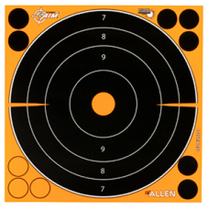 ALLEN EZ AIM 8"X8" BULLSEYE 30PK