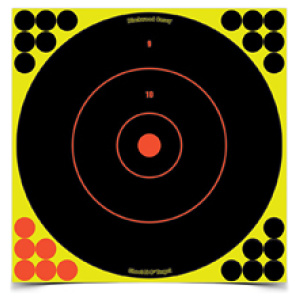 B/C SHT-N-C RND BULLSEYE TGT 12-12"