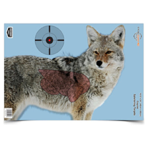 B/C PREGAME COYOTE TGT 3-16.5X24