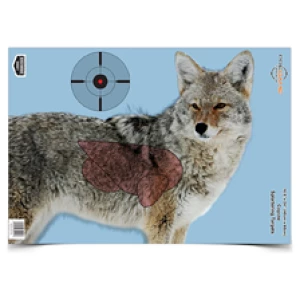 B/C PREGAME COYOTE TGT 3-16.5X24