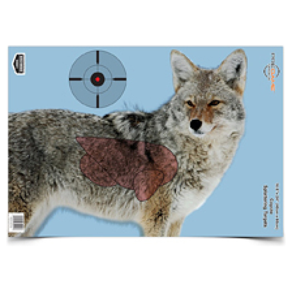 B/C PREGAME COYOTE TGT 3-16.5X24