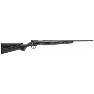 SAVAGE BMAG SPORTER 17WSM 22" - ACCU TRIG BLUED/GRAY LAMINATE