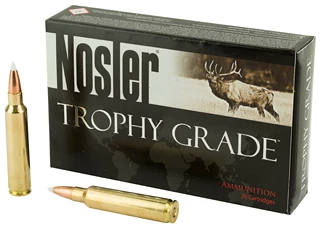 NOSLER 30NOS 180GR AB 20/200