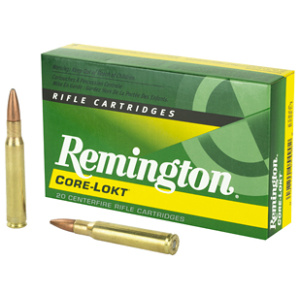 REM 3006 180GR PSP CL 20/200