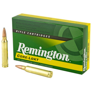 REM 300WIN 180GR PSP CL 20/200