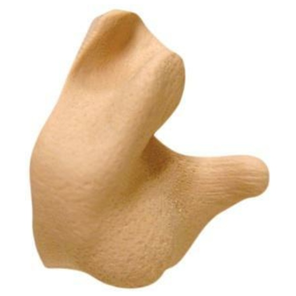 Radians Custom Molded Ear Plugs