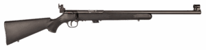 SAVAGE ARMS MARK II BOLT 22LR BL/SYN TARG