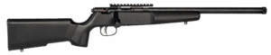 SAVAGE ARMS RASCAL TARGET 22LR CMPT BLACK
