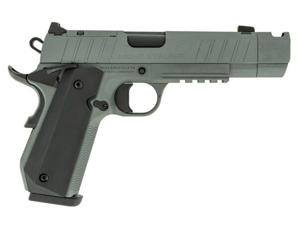TISAS NIGHT STALKER COMP 10MM GRY  #