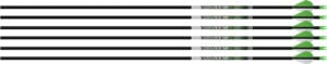 EASTON ARROW AXIS 5MM 300 - 6-PACK W/ 2" BLAZER VANES