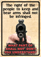 Gun rights poster emphasizing Second Amendment.