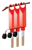 Three red ant traps hanging on twig.