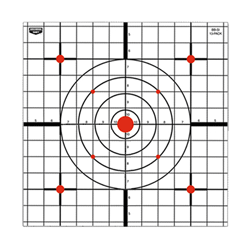Bullseye target with grid and red circles.