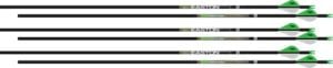 EASTON ARROW AXIS 4MM 340 2" - BLAZER VANES 6-PACK LONG RANGE
