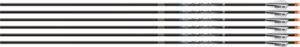 EASTON SONIC 6.0 MATCH 300 - W/3" AAE HYBRID VANES 6-PACK