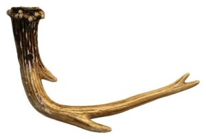 Brown deer antler on white background.