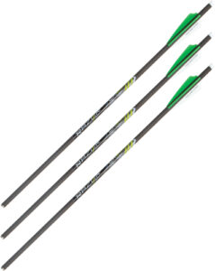 Three carbon arrows with green vanes
