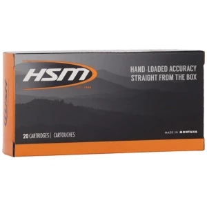 HSM 45-70 GOV 300GR HPFP - 20RD 25BX/CS