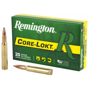 REM 30-06 150GR PSP CL 20/200