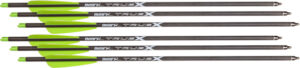 BEAR-X TRUEX CROSSBOW BOLTS - 20" CARBON 6PK