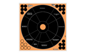 Shooting target with concentric circles and scoring zones.