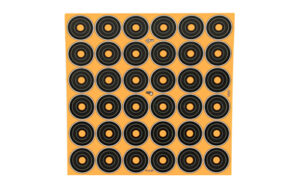 Orange target practice sheet with multiple circles.