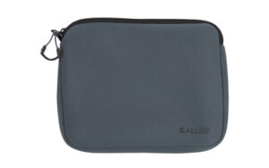 Gray padded tablet or laptop sleeve with zipper.