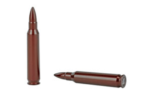 Two inert brown bullets on display