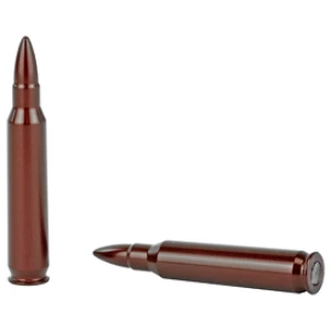 Two inert brown bullets on display