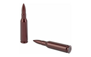 Two brown bullet casings on white background.