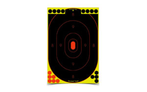 Target with concentric scoring rings and bullseye