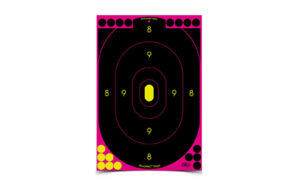 Shooting target with numbered rings and bullet holes.