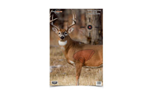 Deer hunting target with visible bullseye markers.