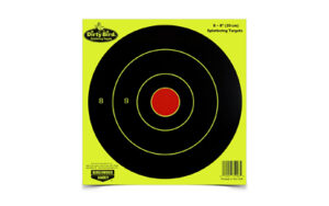 Target for shooting practice with concentric circles.