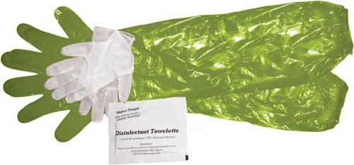 Protective gloves and disinfectant towelette set