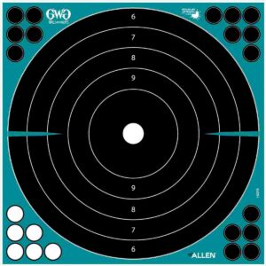 Circular target with numbered rings, shooting practice.