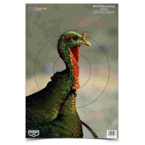 Turkey shooting target with rings and outlines