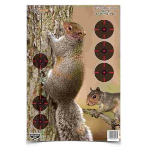 Squirrel target with circular aim points on tree.