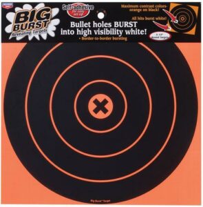 Big Burst target with high visibility bullet holes.