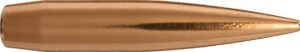 Copper bullet, close-up view.